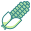 Corn icon 64x64