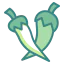 Chili icon 64x64