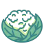 Cauliflower icon 64x64