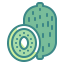 Kiwi icon 64x64
