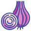 Onion icon 64x64