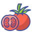 Tomato ícone 64x64