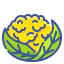 Cauliflower アイコン 64x64