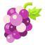 Grapes icon 64x64