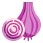 Onion icon 64x64
