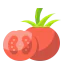 Tomato ícone 64x64