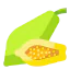 Papaya icon 64x64