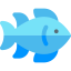 Tuna icon 64x64