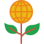 Ecology icon 64x64
