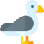 Seagull icon 64x64