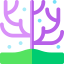 Coral icon 64x64