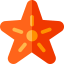 Starfish icon 64x64