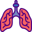 Lungs icon 64x64