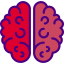 Brain icon 64x64