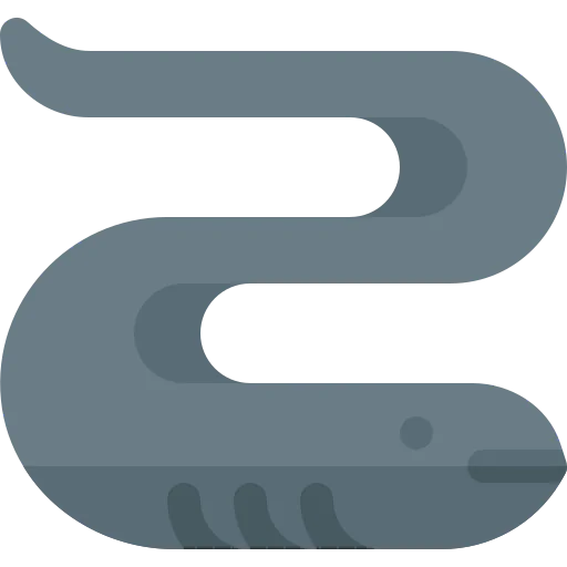 Eel icon