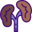 Kidneys Symbol 64x64