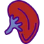 Kidney Symbol 64x64