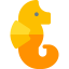 Seahorse icon 64x64