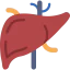 Liver Symbol 64x64