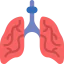 Lungs icon 64x64