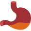 Gastric reflux icon 64x64