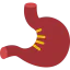 Stomach 상 64x64