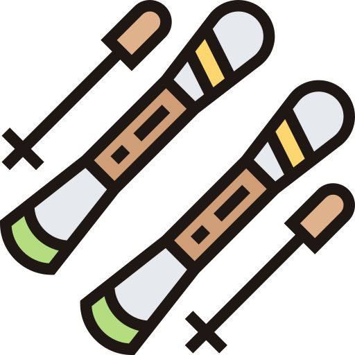 Ski icon