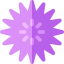 Sea urchin icon 64x64