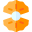 Oyster icon 64x64