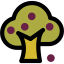 Fruit tree アイコン 64x64