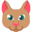 Cat icon 64x64