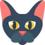 Cat icon 64x64