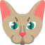 Cat icon 64x64