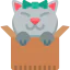 Box icon 64x64