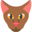 Cat icon 64x64