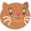 Happy icon 64x64