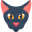 Cat icon 64x64