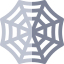 Spider web icon 64x64