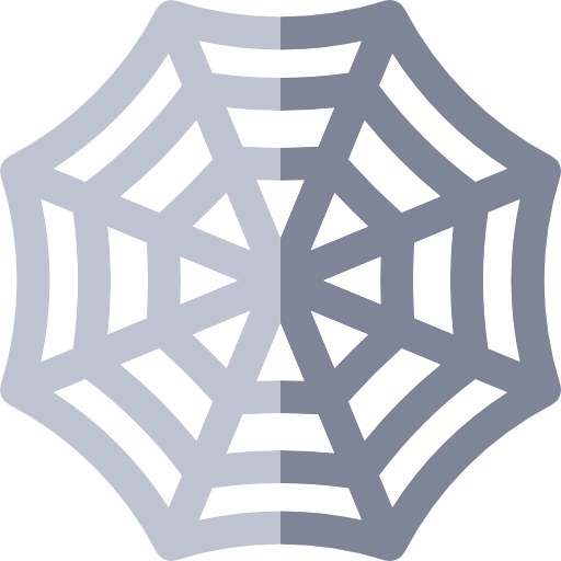 Spider web icon