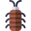 Cockroach ícono 64x64