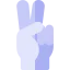 Victory icon 64x64