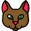 Cat icon 64x64