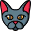 Cat icon 64x64
