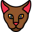 Cat icon 64x64