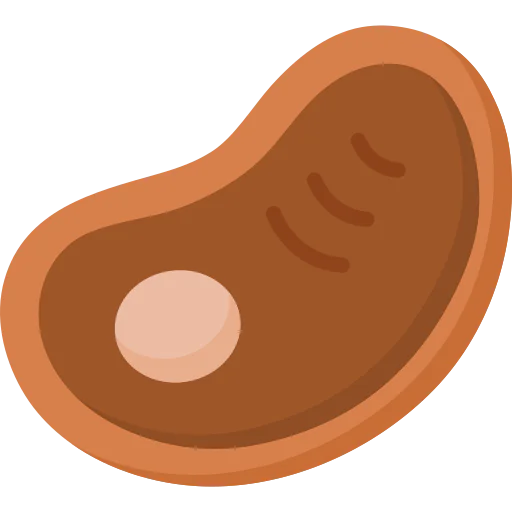Steak icon