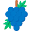 Grapes icon 64x64