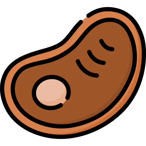 Steak icon