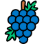 Grapes icon 64x64