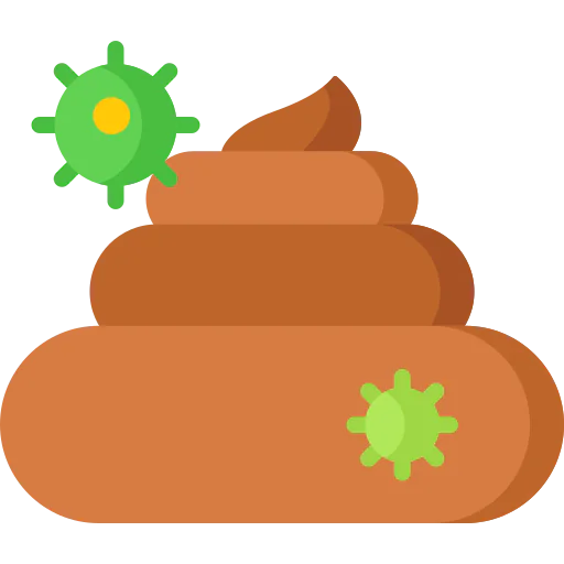 Feces icon