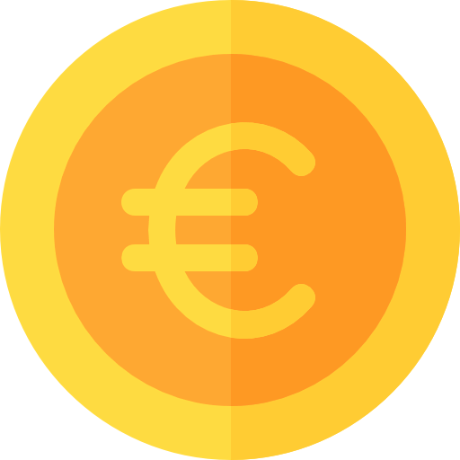 Euro icon